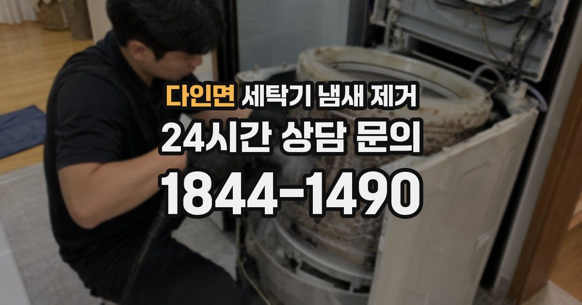 다인면 세탁기 냄새 제거