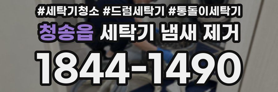 청송읍 세탁기 냄새 제거