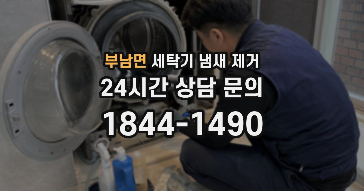 부남면 세탁기 냄새 제거