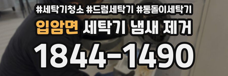 입암면 세탁기 냄새 제거