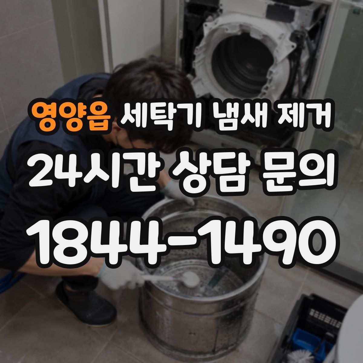 영양읍 세탁기 냄새 제거