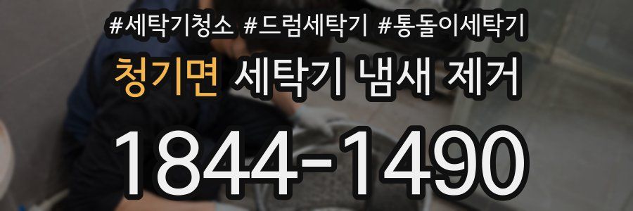청기면 세탁기 냄새 제거