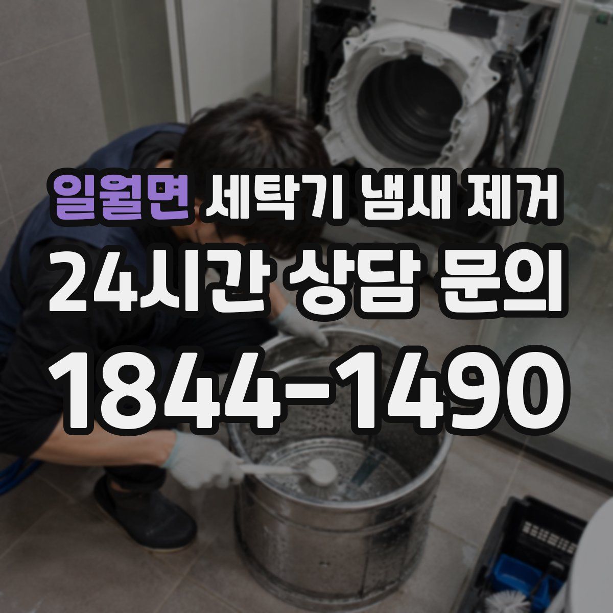 일월면 세탁기 냄새 제거