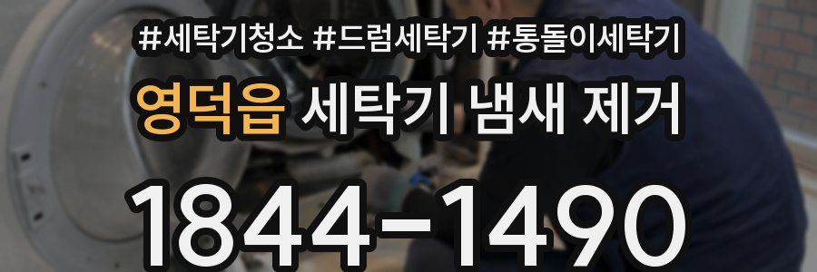 영덕읍 세탁기 냄새 제거