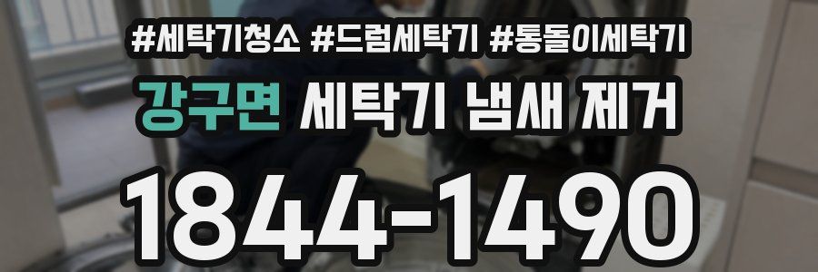 강구면 세탁기 냄새 제거