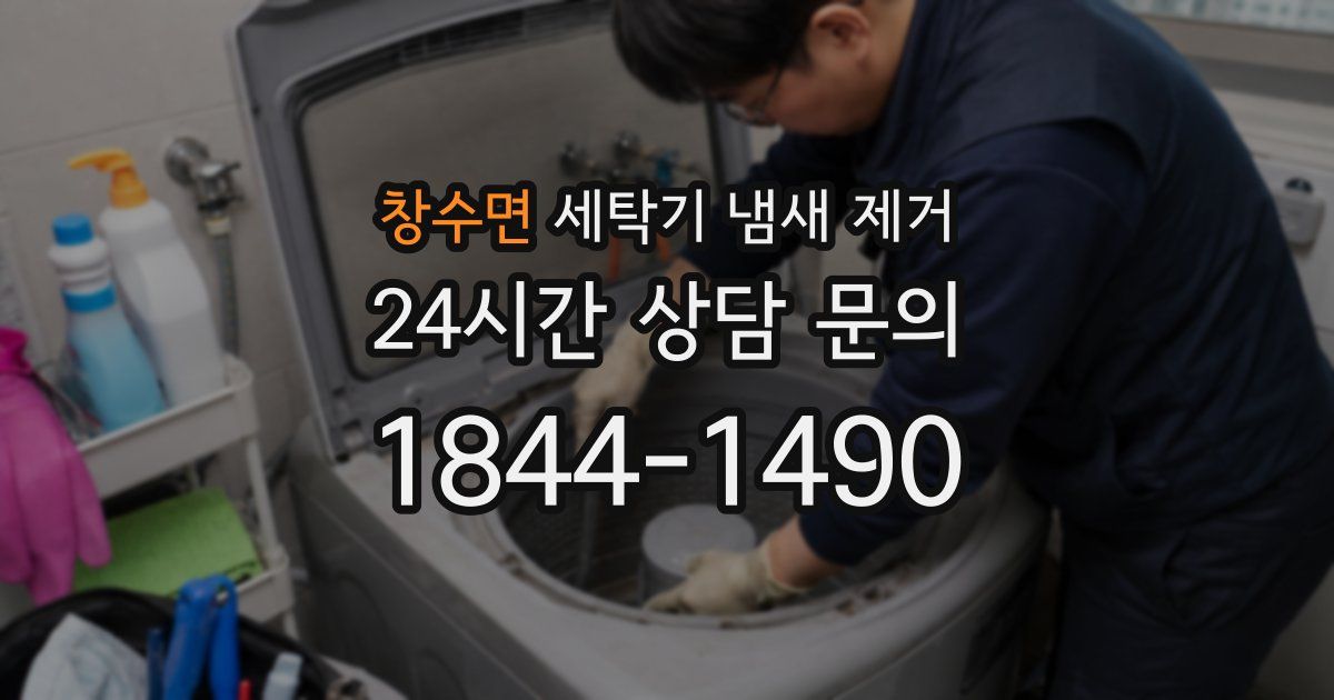 창수면 세탁기 냄새 제거