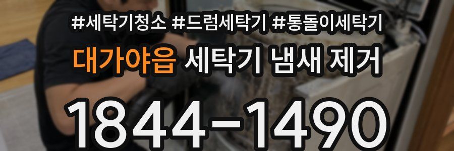 대가야읍 세탁기 냄새 제거