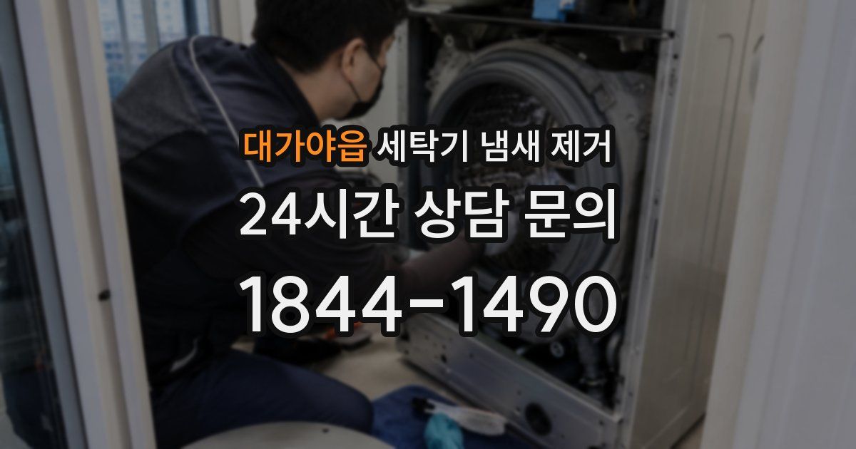 대가야읍 세탁기 냄새 제거