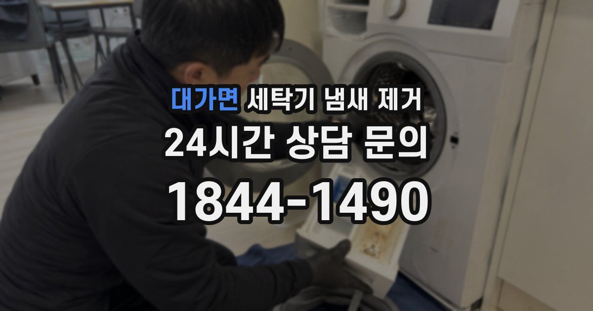 대가면 세탁기 냄새 제거