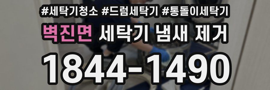 벽진면 세탁기 냄새 제거