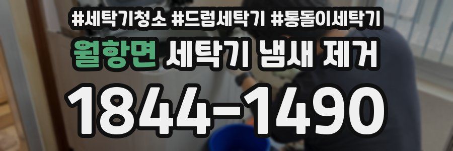 월항면 세탁기 냄새 제거