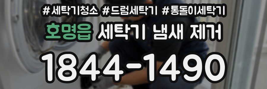 호명읍 세탁기 냄새 제거