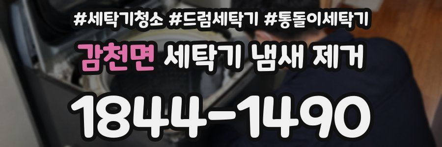 감천면 세탁기 냄새 제거
