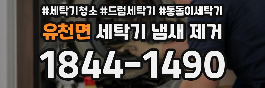 유천면 세탁기 냄새 제거