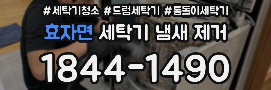 효자면 세탁기 냄새 제거