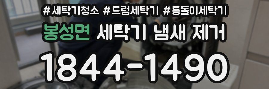 봉성면 세탁기 냄새 제거