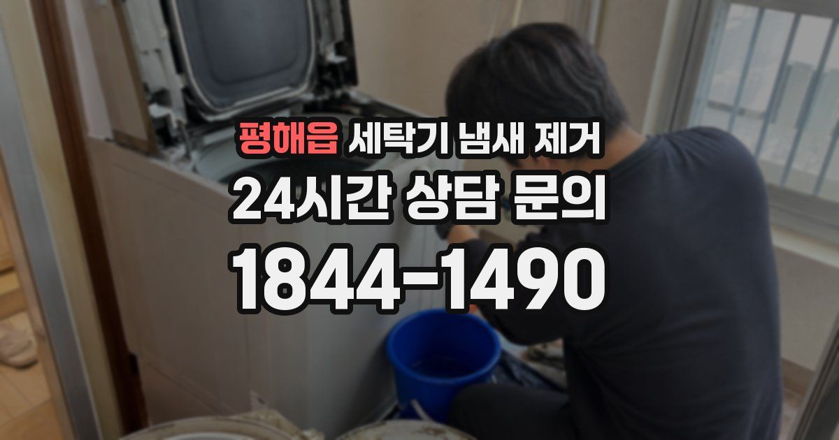 평해읍 세탁기 냄새 제거