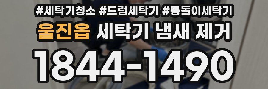 울진읍 세탁기 냄새 제거