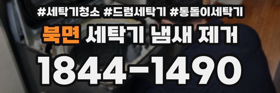 북면 세탁기 냄새 제거