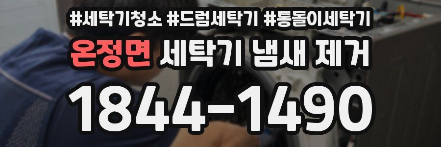 온정면 세탁기 냄새 제거