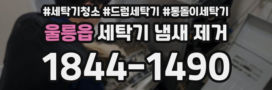 울릉읍 세탁기 냄새 제거
