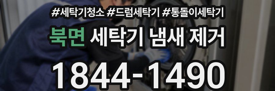 북면 세탁기 냄새 제거