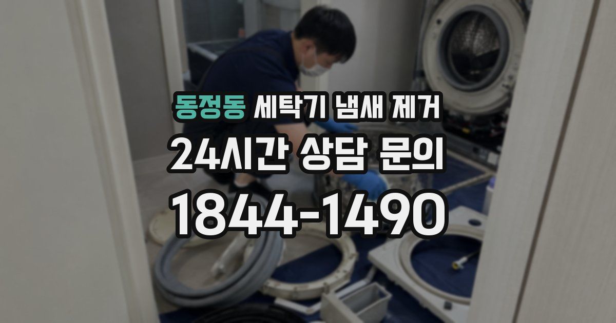 동정동 세탁기 냄새 제거