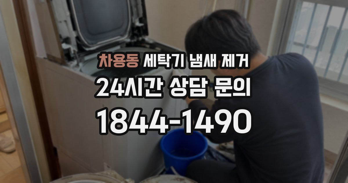 차용동 세탁기 냄새 제거