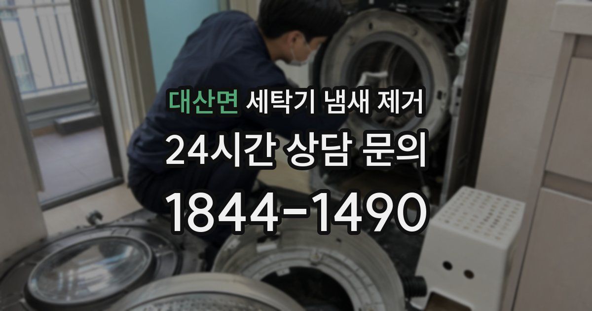 대산면 세탁기 냄새 제거