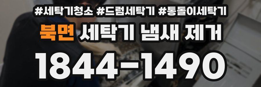 북면 세탁기 냄새 제거