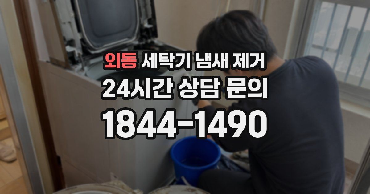 외동 세탁기 냄새 제거