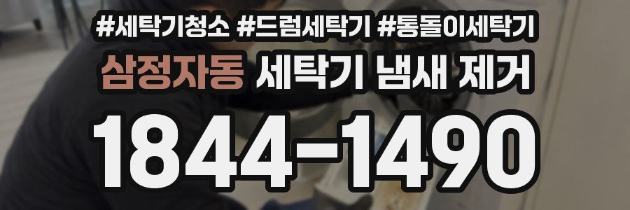 삼정자동 세탁기 냄새 제거