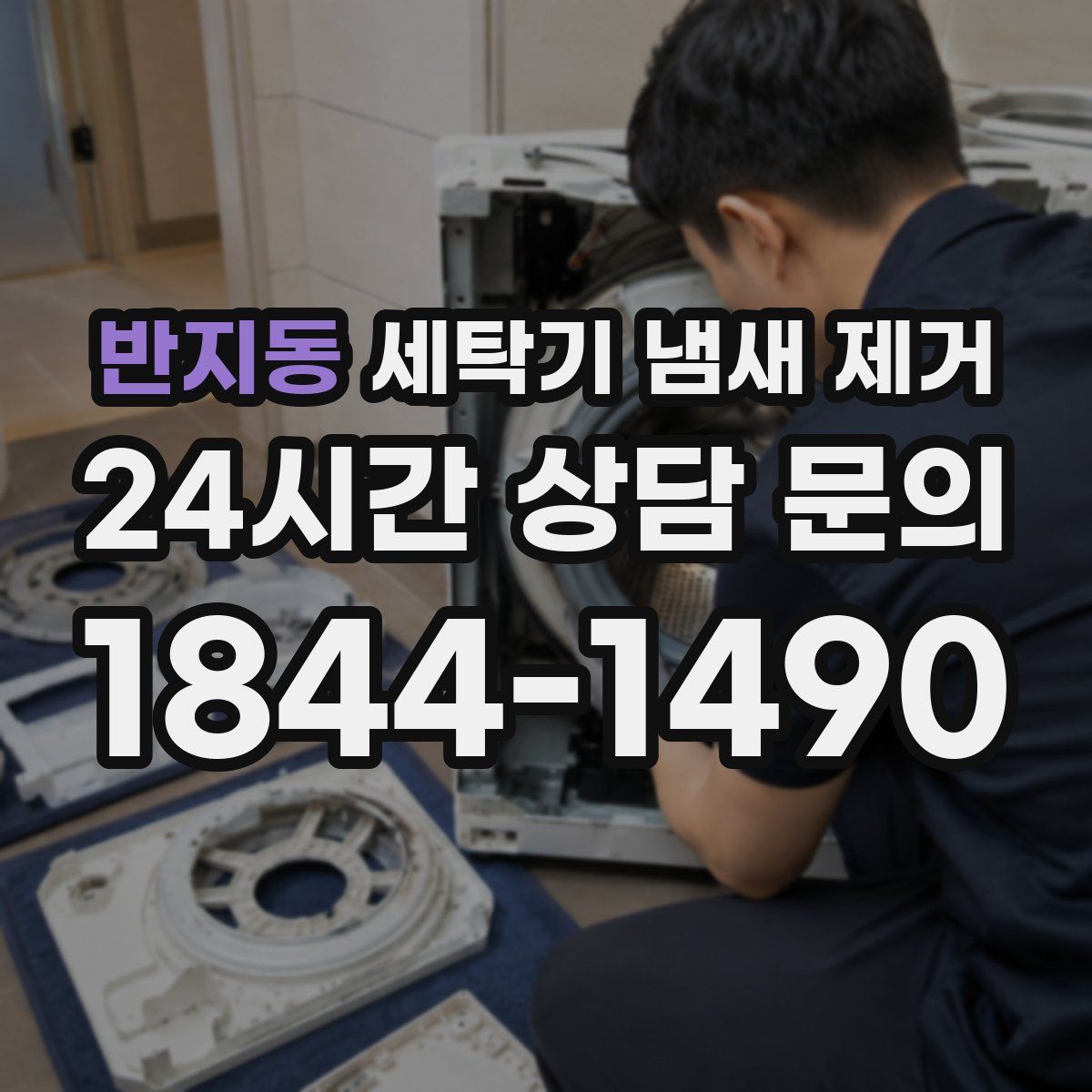 반지동 세탁기 냄새 제거