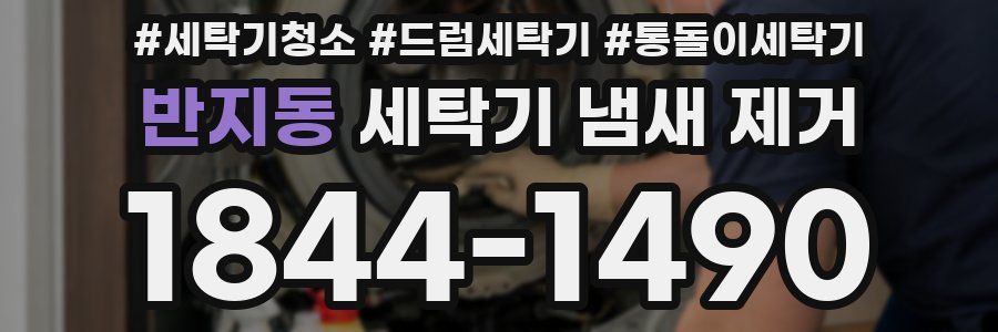 반지동 세탁기 냄새 제거
