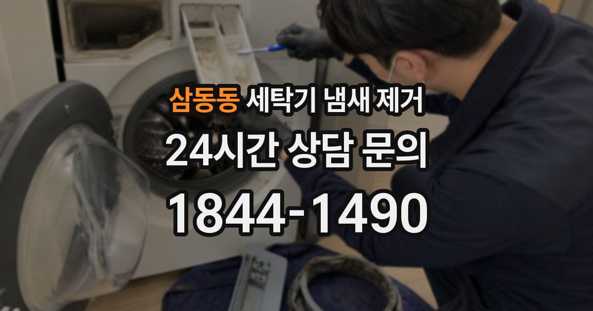 삼동동 세탁기 냄새 제거