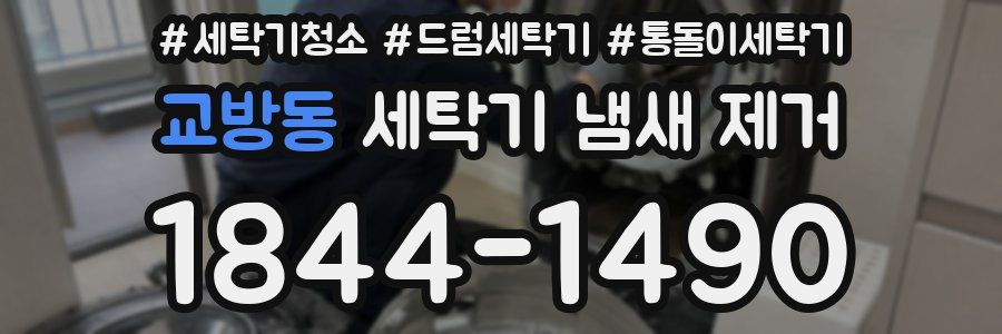 교방동 세탁기 냄새 제거
