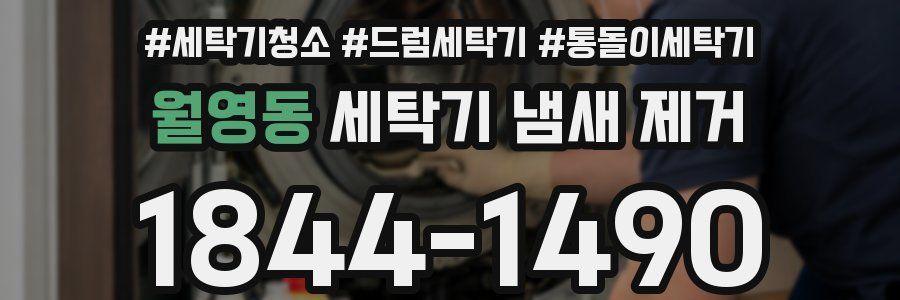 월영동 세탁기 냄새 제거