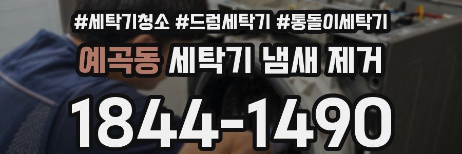 예곡동 세탁기 냄새 제거