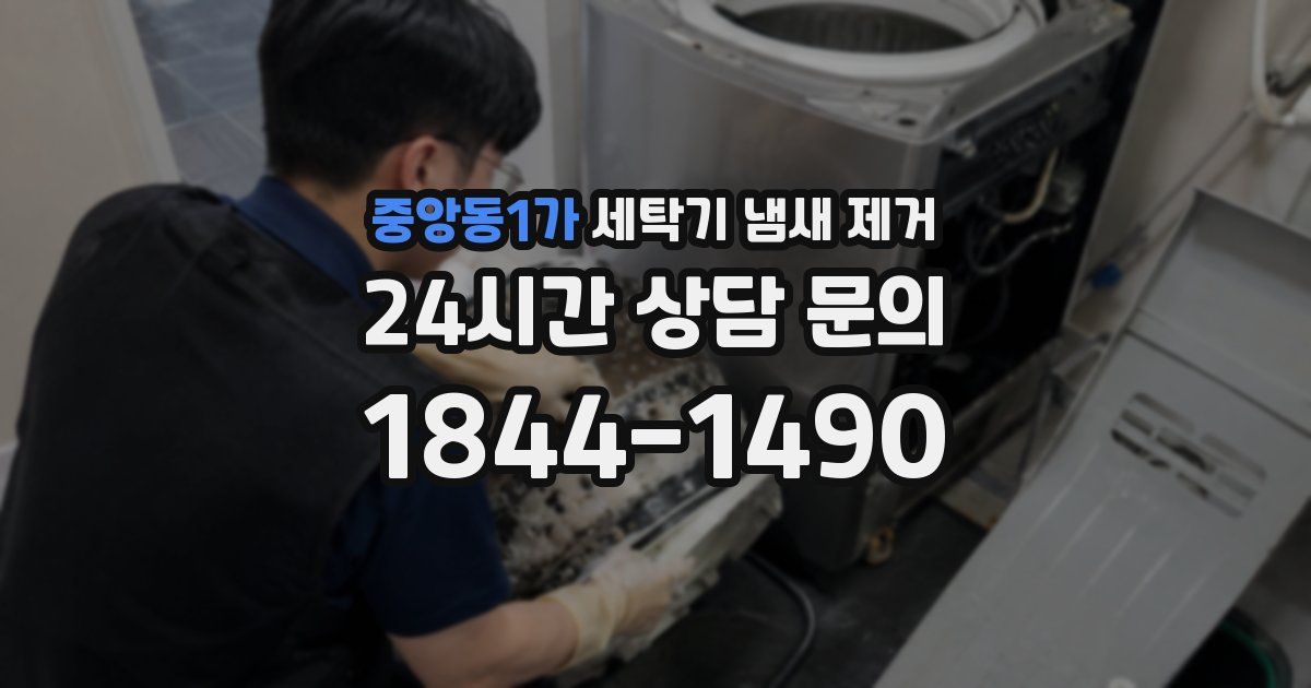 중앙동1가 세탁기 냄새 제거