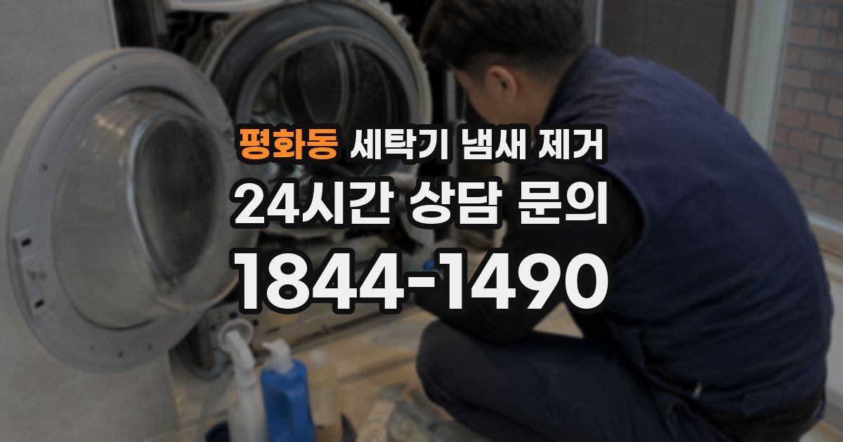 평화동 세탁기 냄새 제거