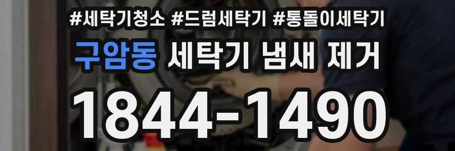 구암동 세탁기 냄새 제거