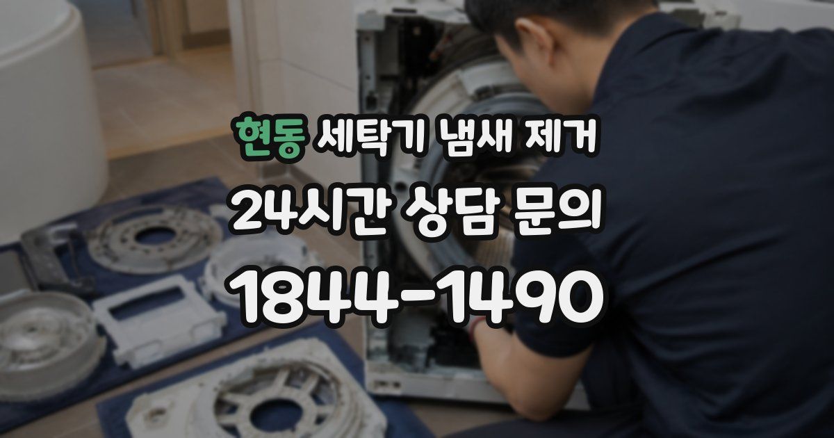 현동 세탁기 냄새 제거