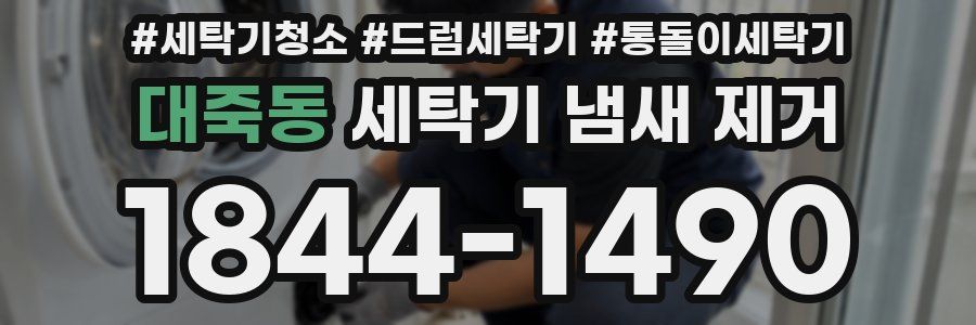 대죽동 세탁기 냄새 제거