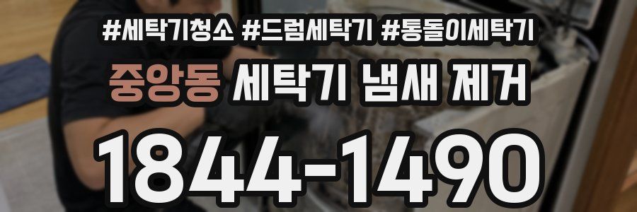 중앙동 세탁기 냄새 제거