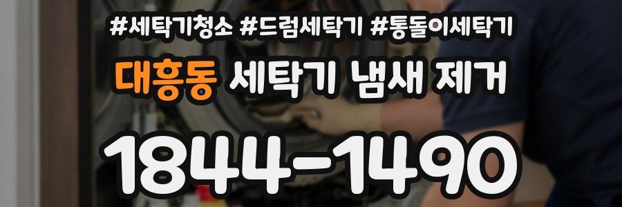 대흥동 세탁기 냄새 제거