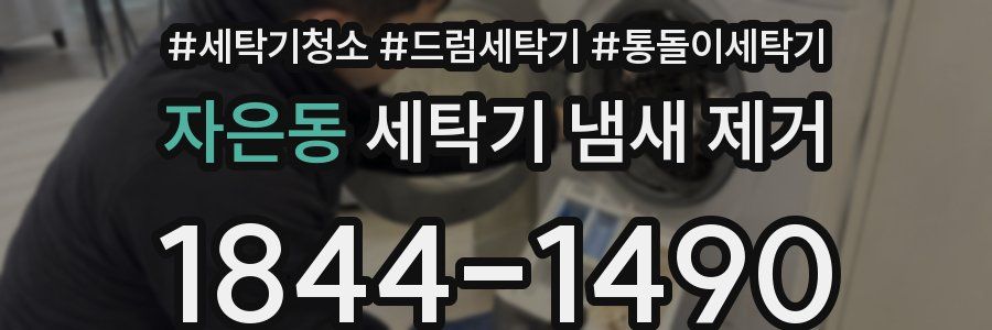 자은동 세탁기 냄새 제거