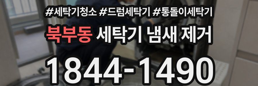 북부동 세탁기 냄새 제거