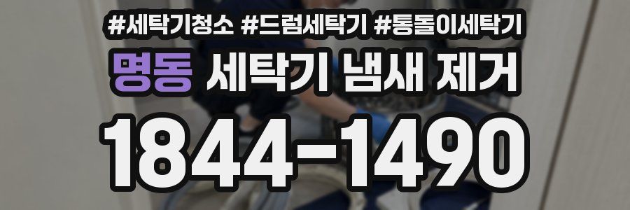 명동 세탁기 냄새 제거