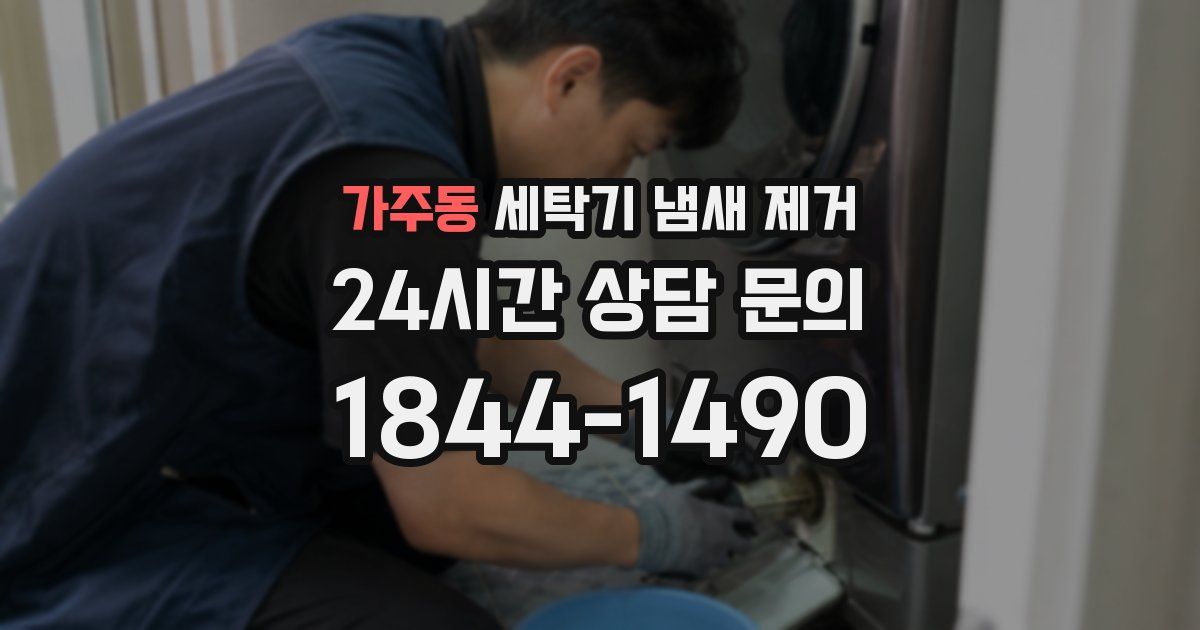 가주동 세탁기 냄새 제거