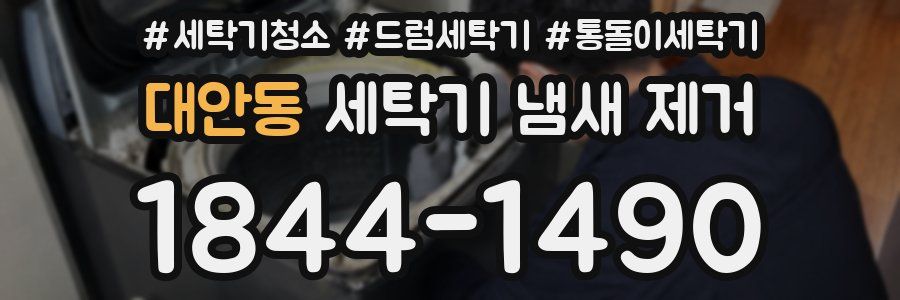대안동 세탁기 냄새 제거